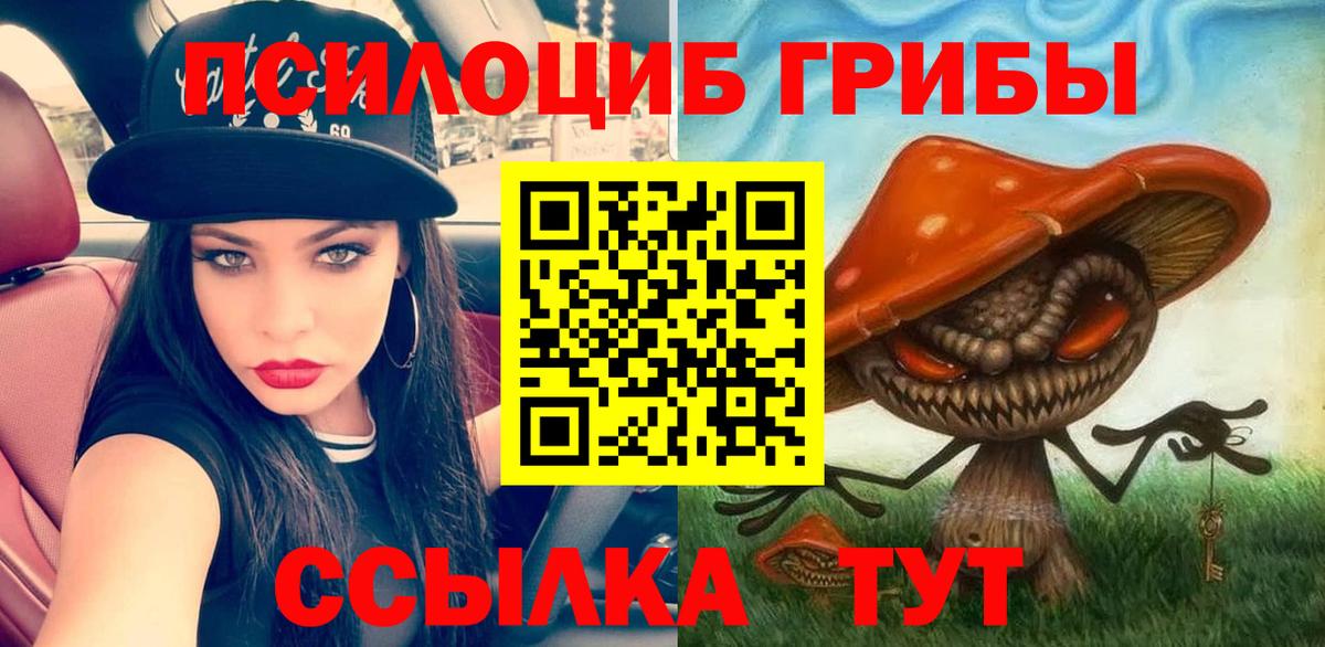 Псилоцибиновые грибы мицелий  сколько стоит  Вход с VPN  Заводоуковск  Галлюциногенные грибы мухоморы 